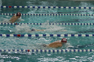 开云官方网站-“世界游泳锦标赛：2025新加坡赛场泳池掀起速度与优雅的碰撞”